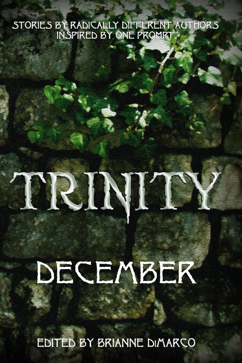 Trinity December cover