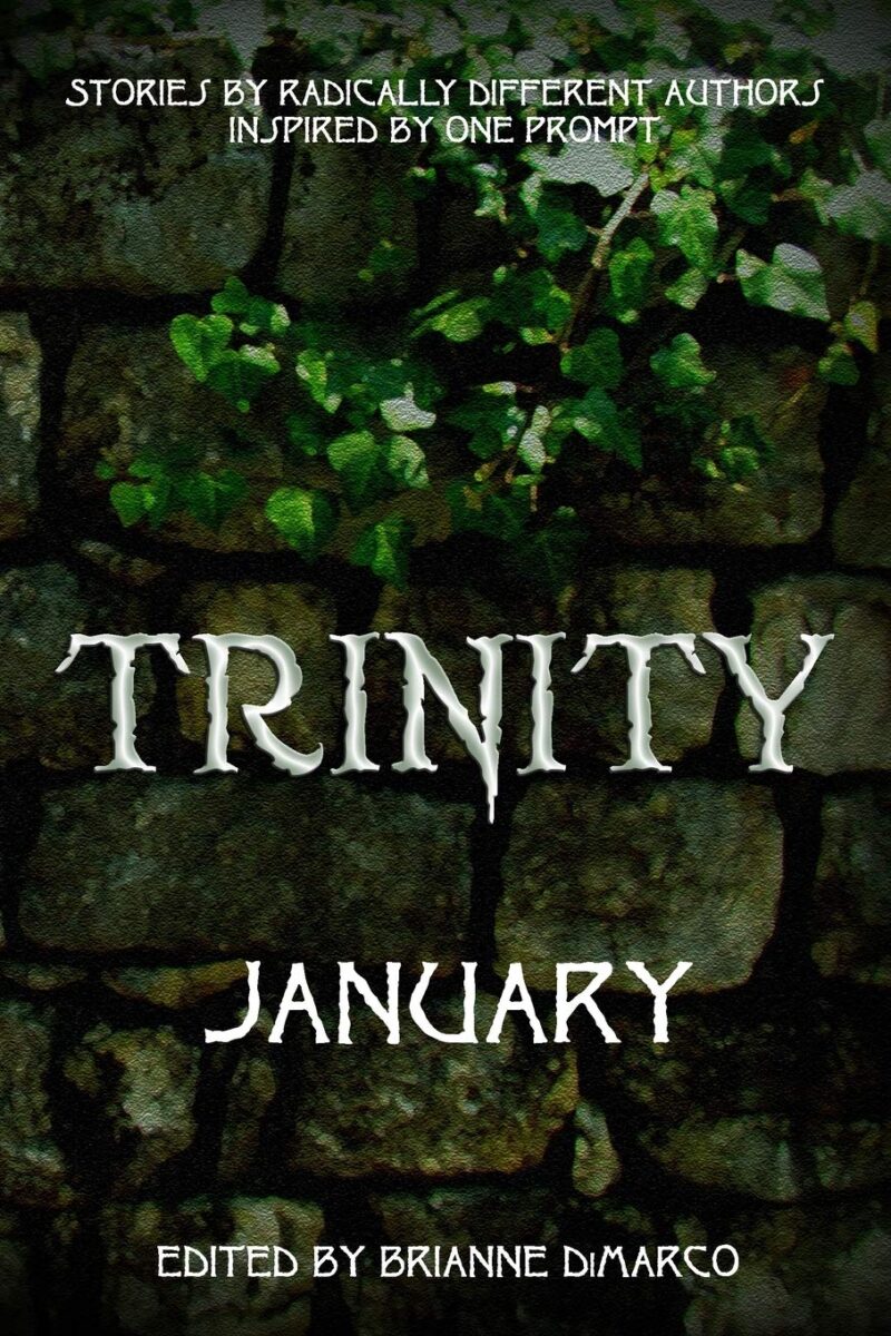 Trinity: January cover