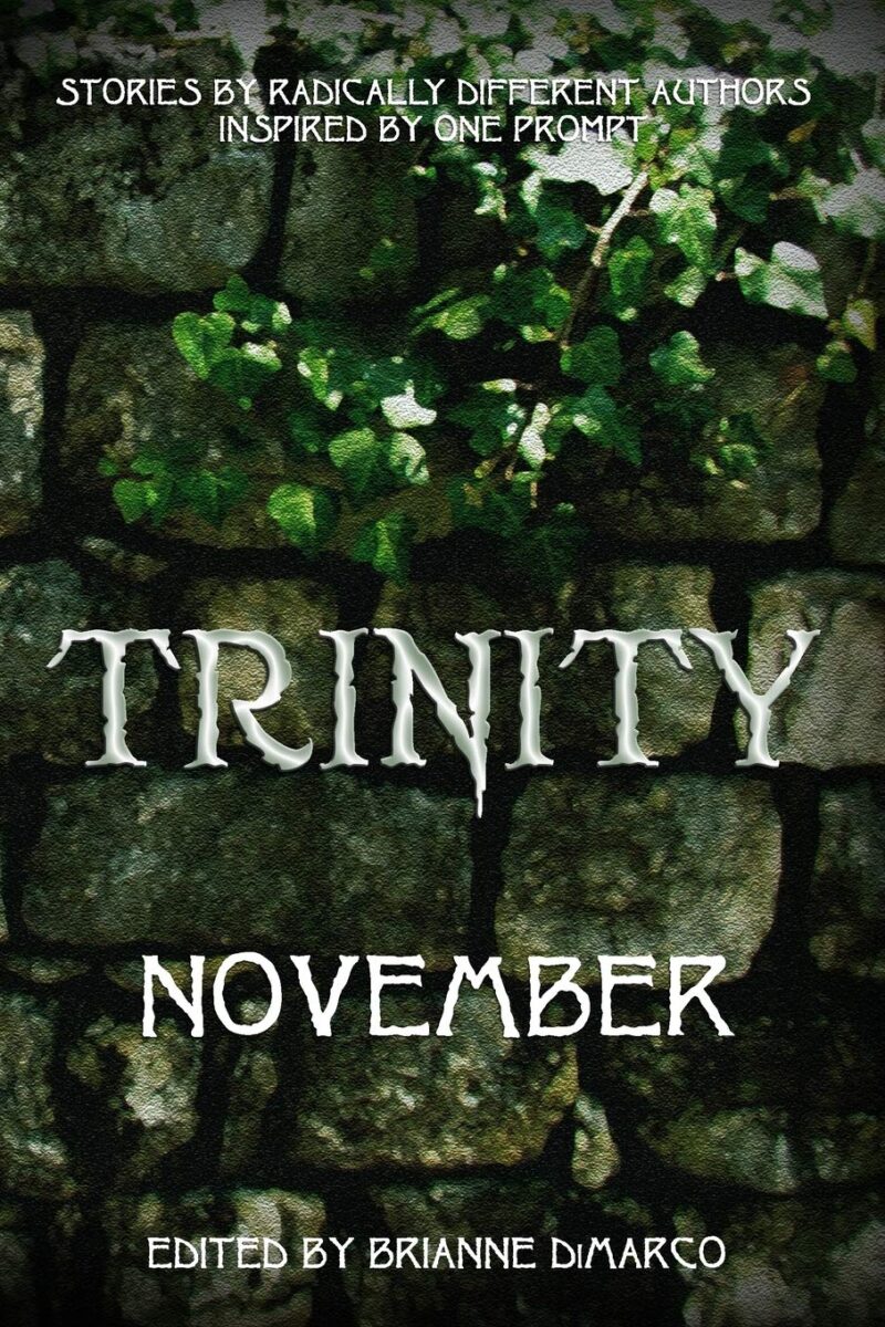 Trinity: November cover