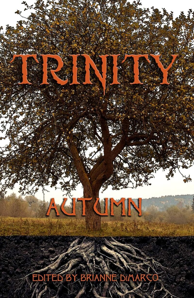 Trinity: Autumn cover