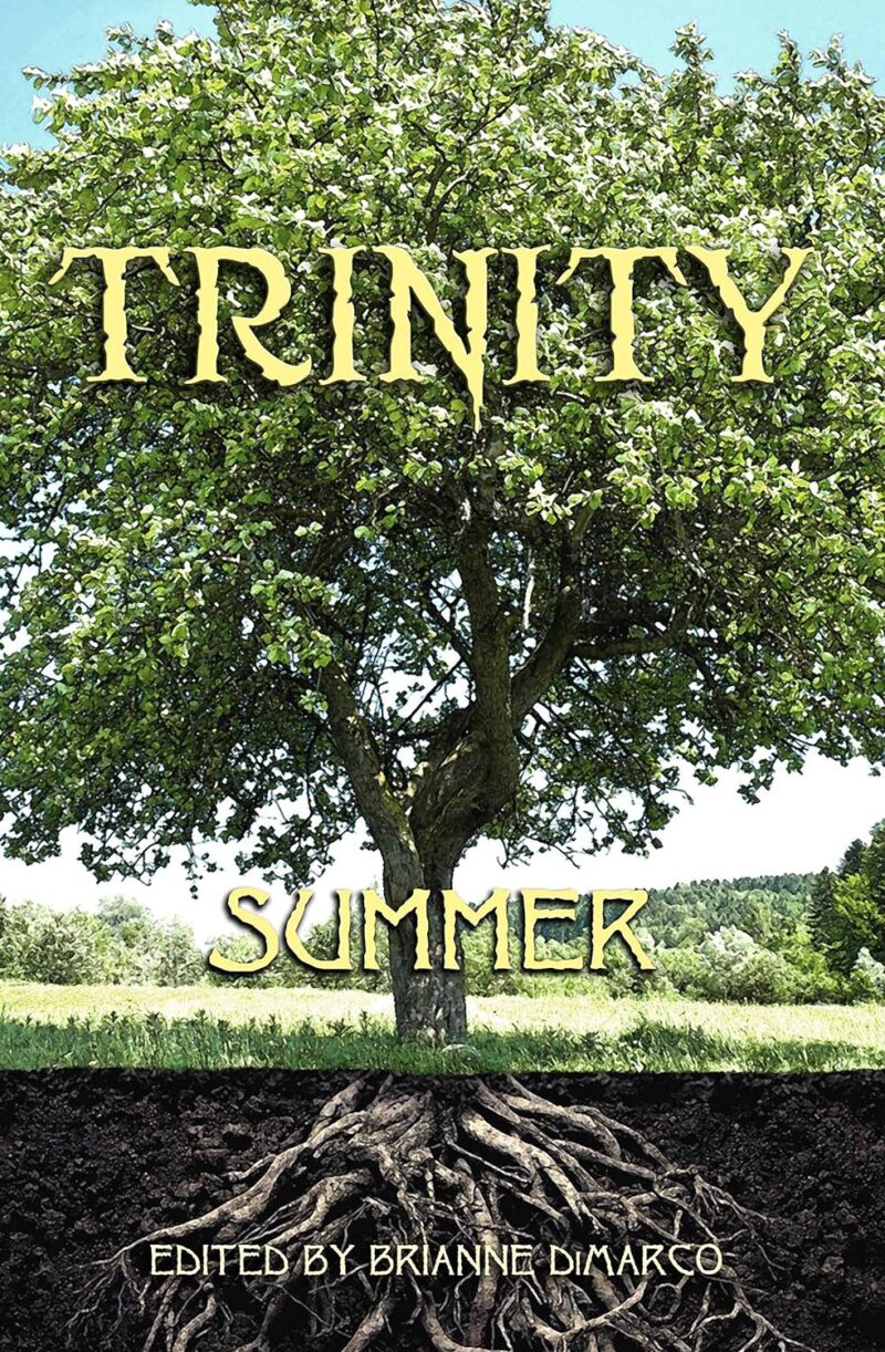Trinity: Summer cover