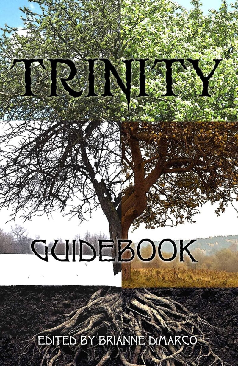 Trinity: Guidebook cover